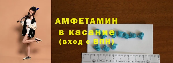 СК Алексин