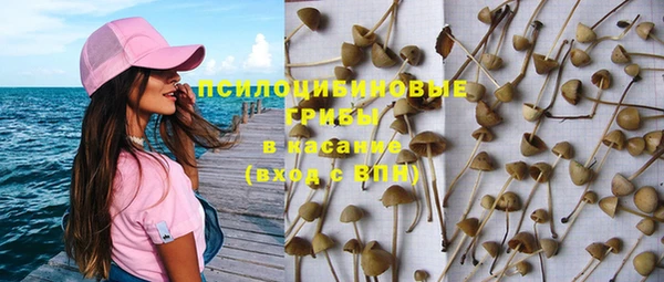 СК Алексин