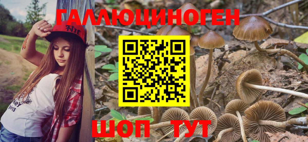 Псилоцибиновые грибы Cubensis  Вход с VPN  Беслан  Псилоцибиновые грибы Magic Shrooms 