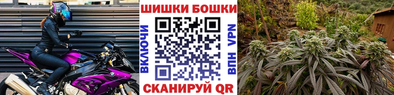 где можно купить наркотик Беслан Каннабис SATIVA & INDICA