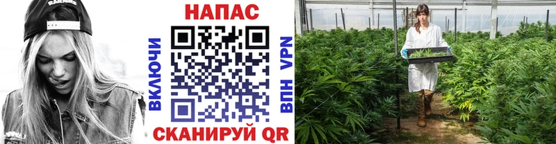 Каннабис Bruce Banner Беслан